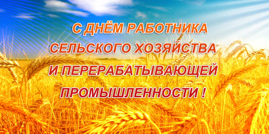 8 октября – День работника сельского хозяйства и перерабатывающей промышленности. Поздравление главы Юрьянского района И.Ю.Шулаева.