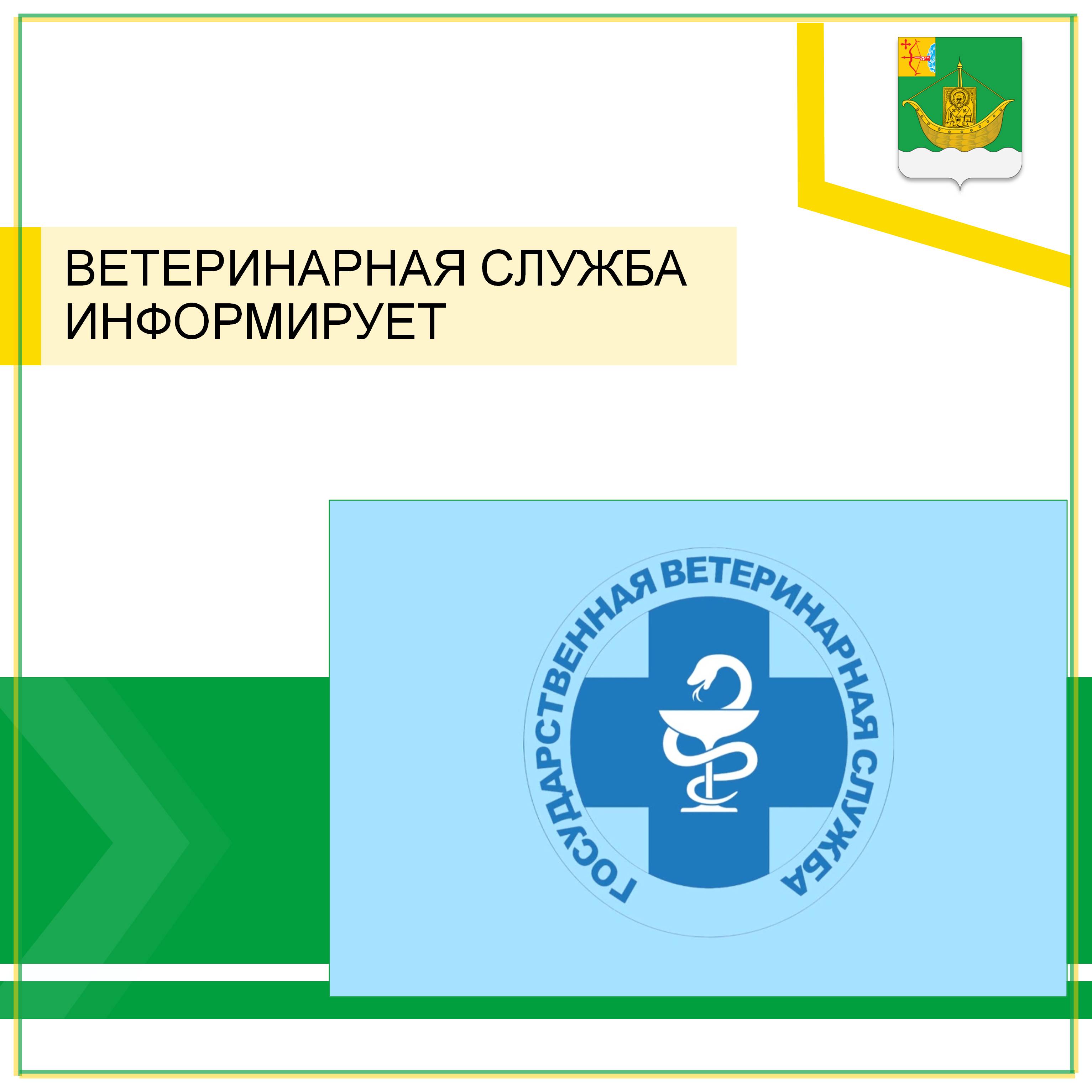 Профилактическая вакцинация домашних животных против бешенства продолжается.