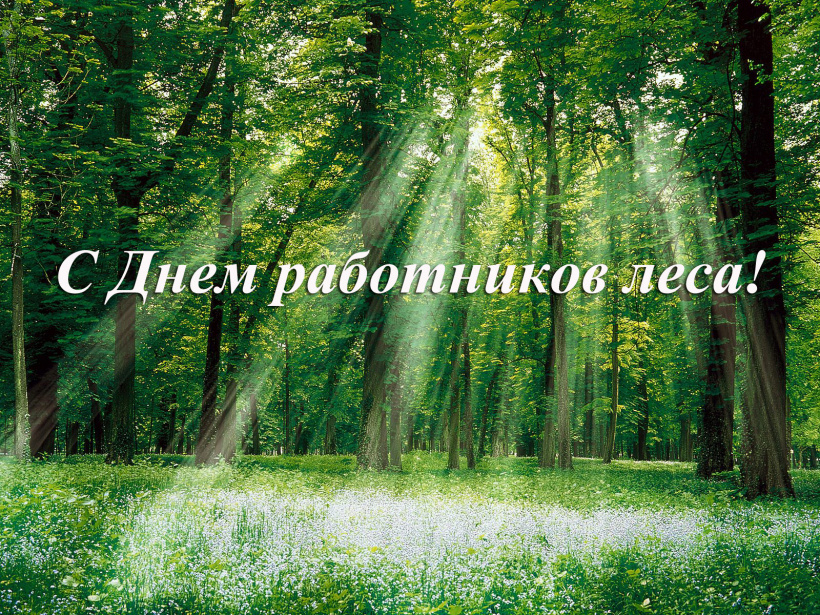 17 сентября – День работников леса. Поздравление главы Юрьянского района И.Ю.Шулаева.