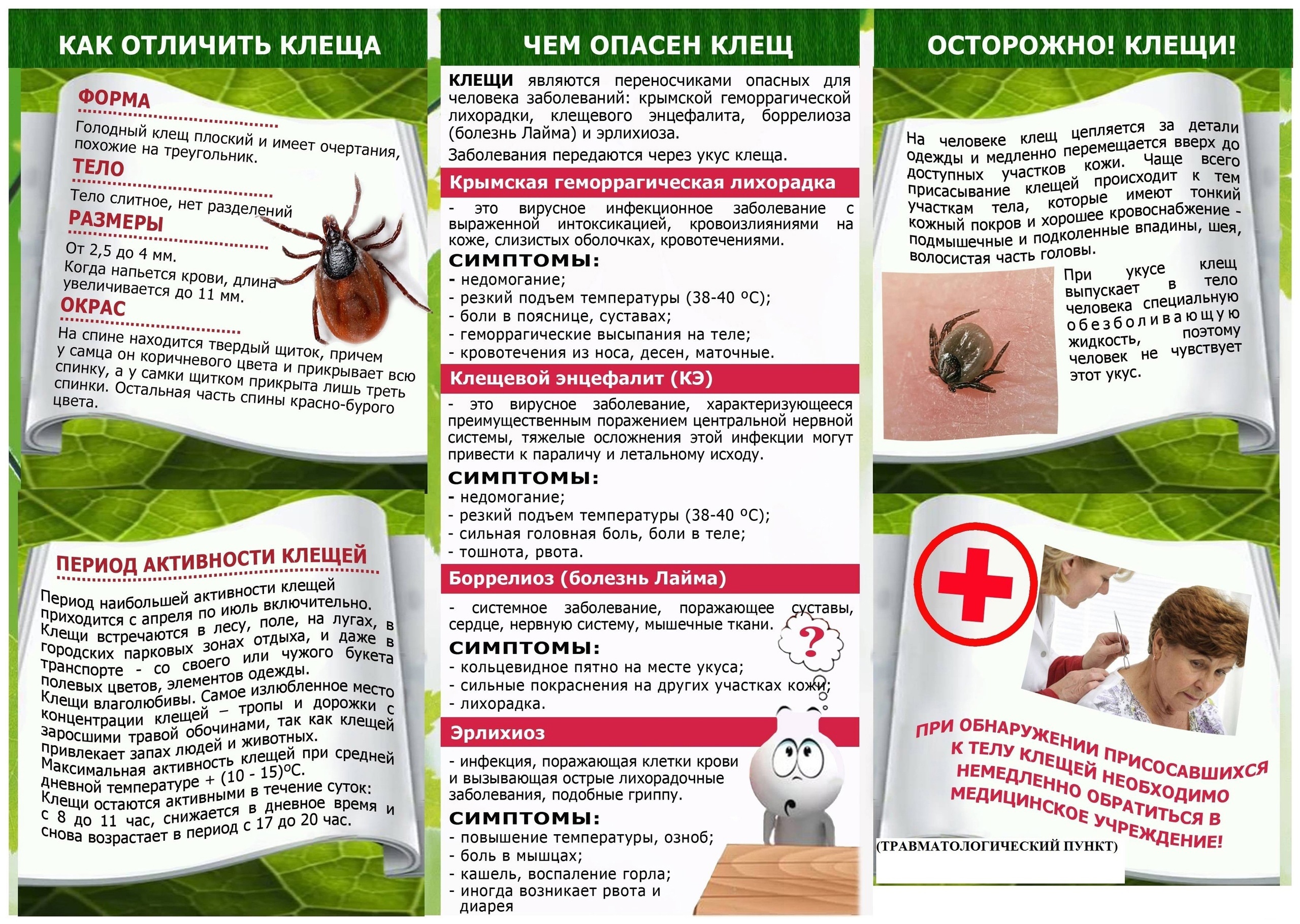 Осторожно, клещ!.