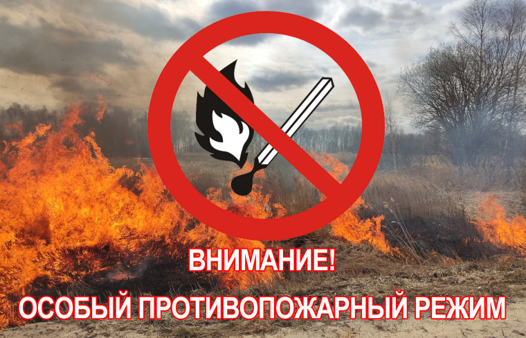 В Кировской области введен особый противопожарный режим. В Кировской области введен особый противопожарный режим.