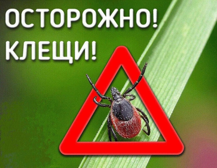 Осторожно – клещи!. Осторожно – клещи!.