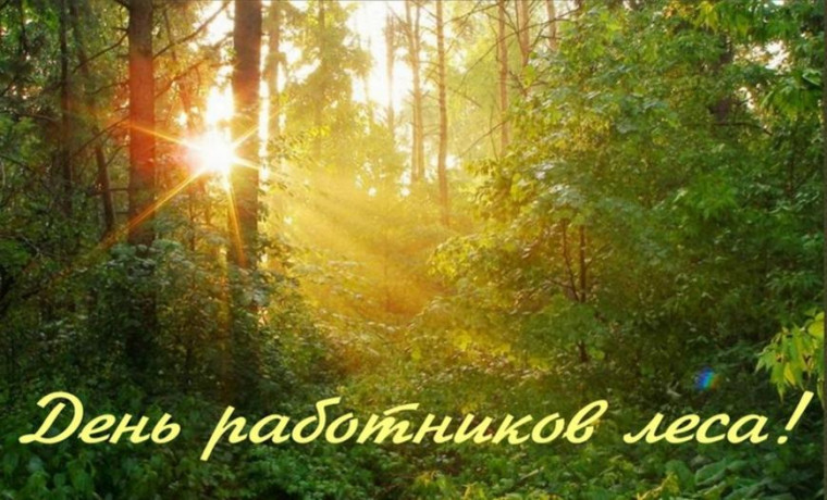 15 сентября – День работников леса. Поздравление главы Юрьянского района И.Ю.Шулаева. 15 сентября – День работников леса. Поздравление главы Юрьянского района И.Ю.Шулаева.