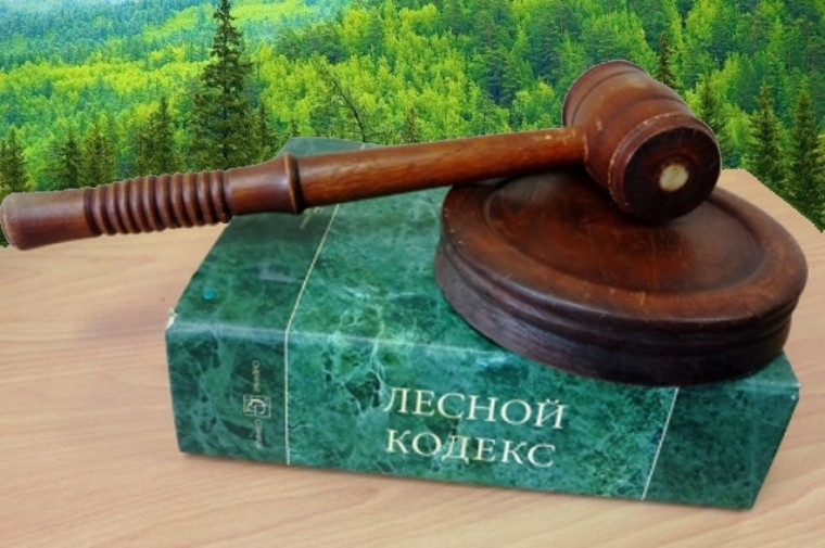 Информация о проведении аукционов в электронном виде на право заключения договора аренды лесного участка, находящегося в государственной собственности. Информация о проведении аукционов в электронном виде на право заключения договора аренды лесного участка, находящегося в государственной собственности.