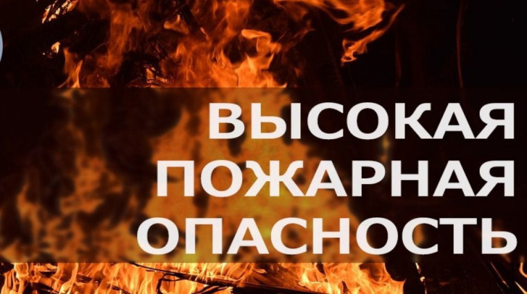 В лесах Кировской области сохраняется высокая пожарная опасность. В лесах Кировской области сохраняется высокая пожарная опасность.