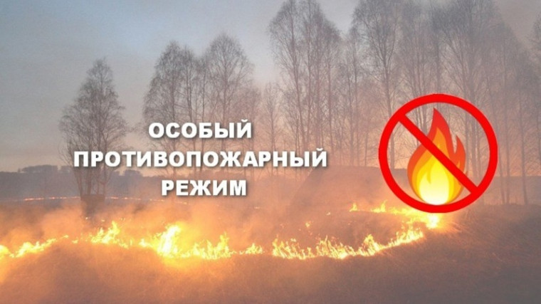 С 25 апреля 2025 года постановлением Правительства Кировской области №212-П на территории области введён особый противопожарный режим. С 25 апреля 2025 года постановлением Правительства Кировской области №212-П на территории области введён особый противопожарный режим.