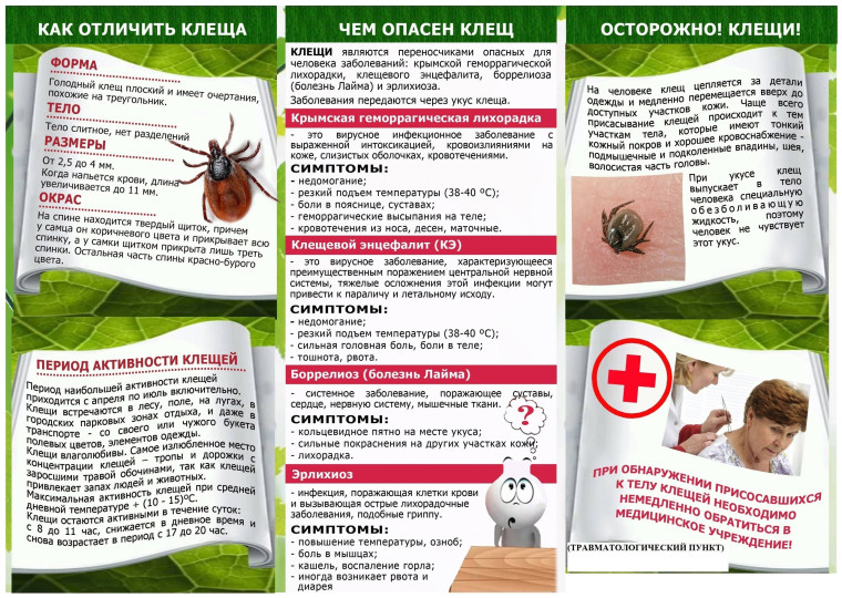 Осторожно, клещ!. Осторожно, клещ!.