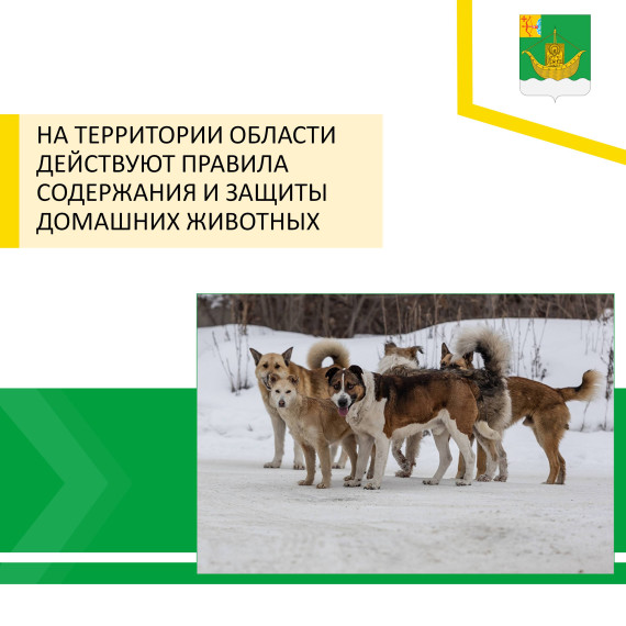 На территории Кировской области действуют Правила содержания и защиты домашних животных. На территории Кировской области действуют Правила содержания и защиты домашних животных.